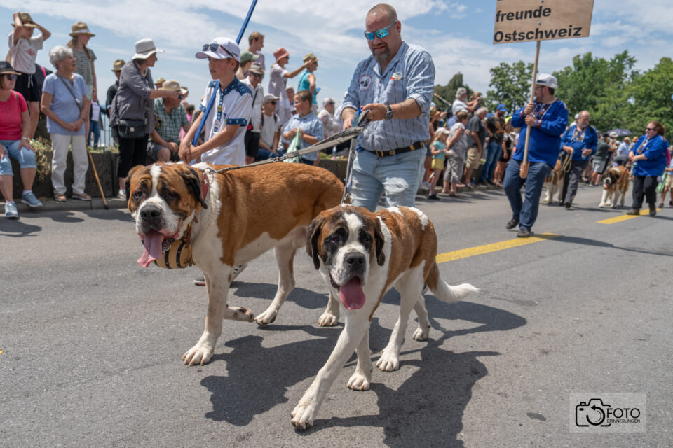 Eidgenössisches Jodlerfest Zug 2023 Bild 022